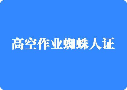 免费看日逼电影高空作业蜘蛛人证